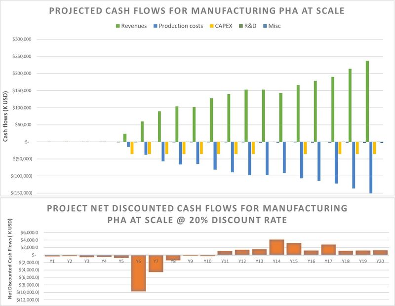 Financial model for a project to manufacture PHA at a commercial scale