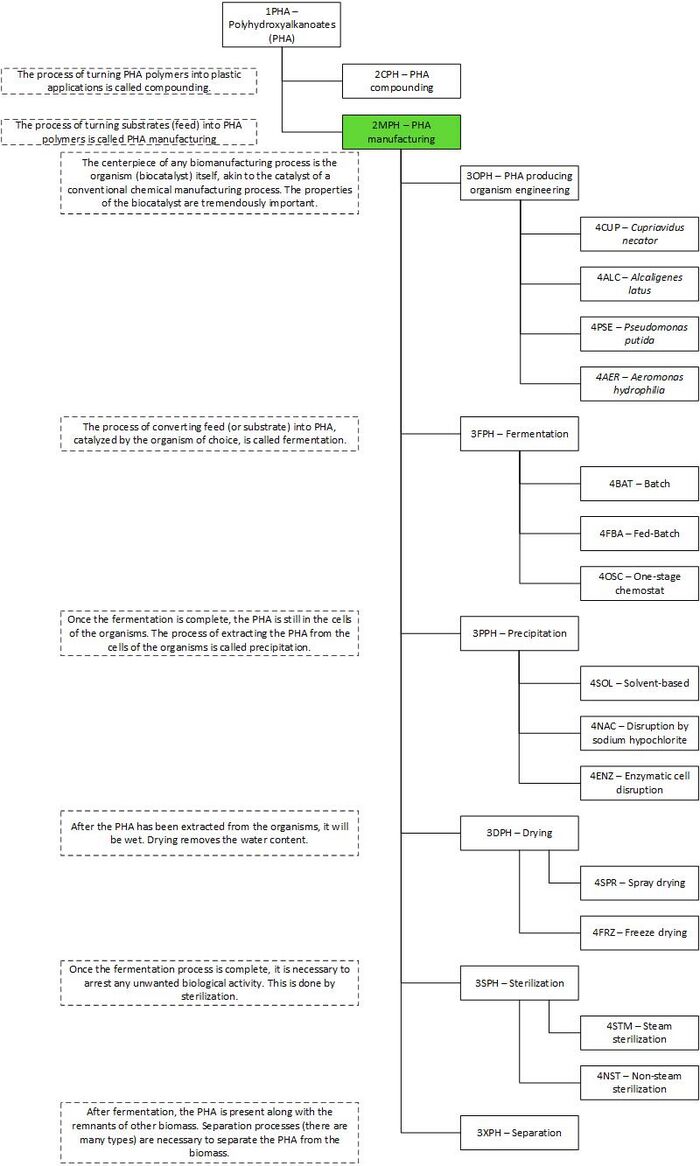 Technology roadmap hierarchy for PHA (bioplastic) manufacturing