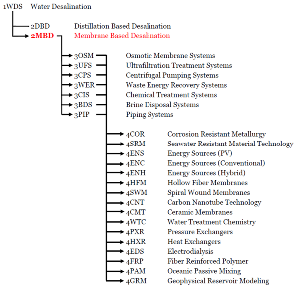 DSM structure